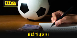 ti-so-ti-le-2-in-1